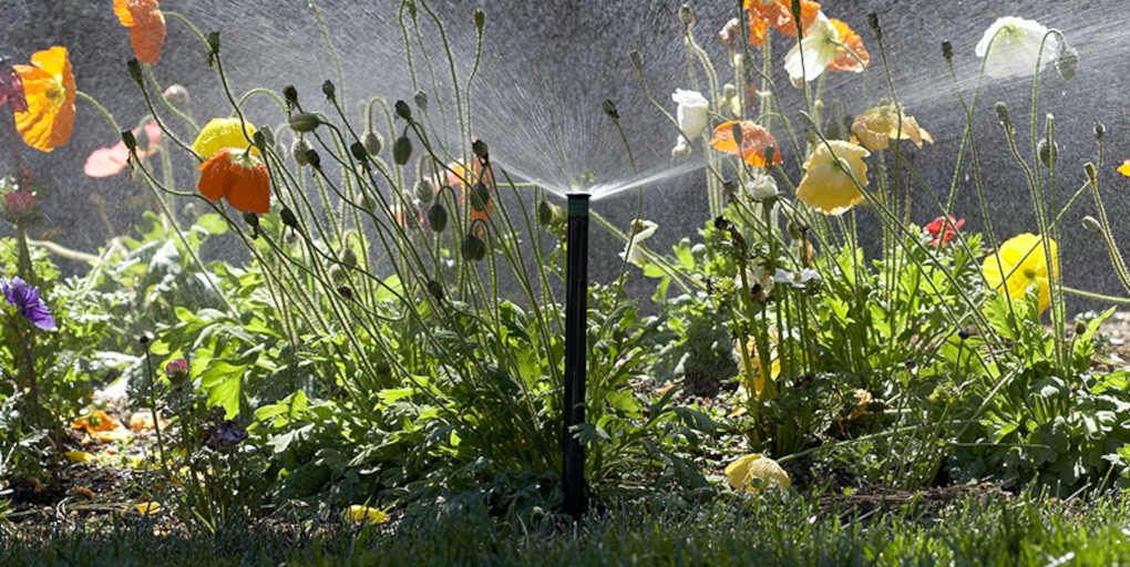 Flower bed irrigation
